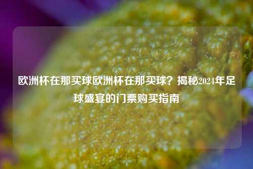 欧洲杯在那买球欧洲杯在那买球？揭秘2024年足球盛宴的门票购买指南