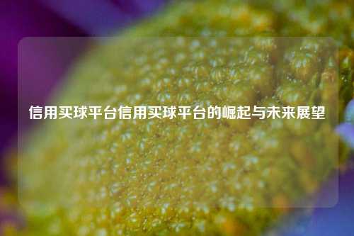 信用买球平台信用买球平台的崛起与未来展望