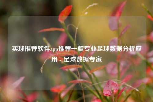 买球推荐软件app推荐一款专业足球数据分析应用 - 足球数据专家