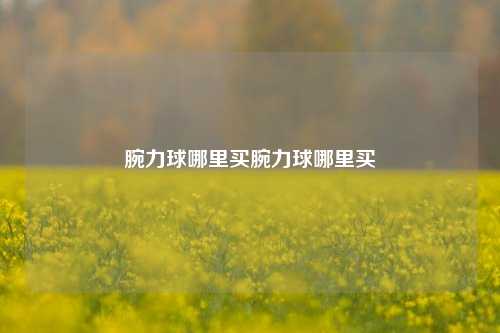 腕力球哪里买腕力球哪里买
