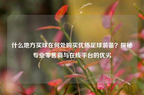 什么地方买球在何处购买优质足球装备？探秘专业零售商与在线平台的优劣