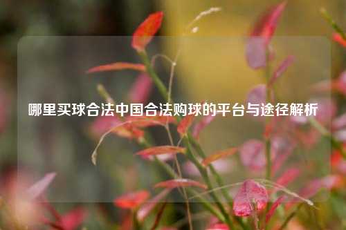 哪里买球合法中国合法购球的平台与途径解析