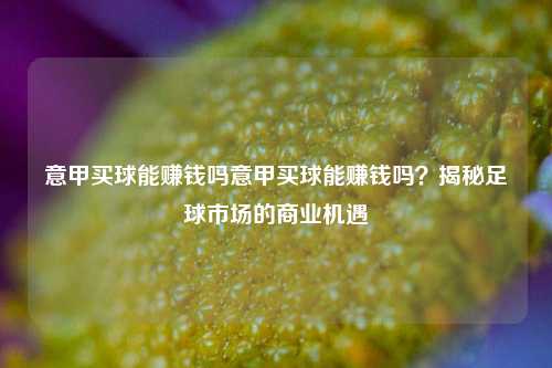 意甲买球能赚钱吗意甲买球能赚钱吗？揭秘足球市场的商业机遇