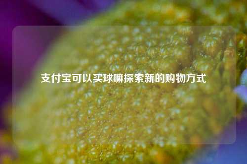 支付宝可以买球嘛探索新的购物方式