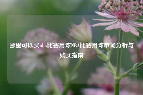 哪里可以买nba比赛用球NBA比赛用球市场分析与购买指南