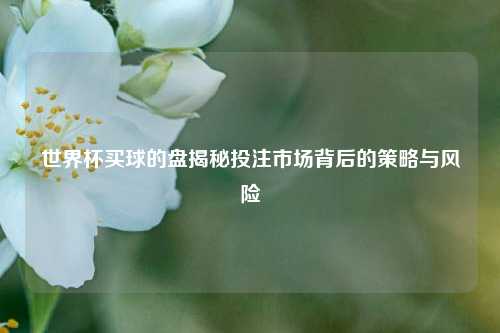世界杯买球的盘揭秘投注市场背后的策略与风险