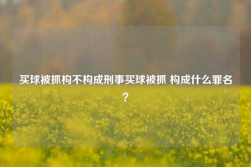 买球被抓构不构成刑事买球被抓 构成什么罪名？
