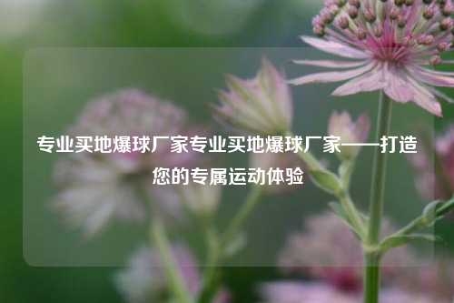 专业买地爆球厂家专业买地爆球厂家——打造您的专属运动体验