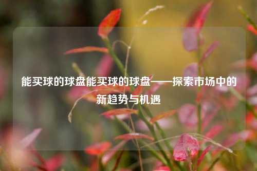 能买球的球盘能买球的球盘——探索市场中的新趋势与机遇