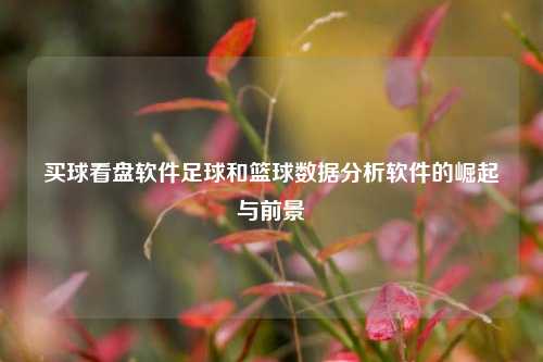 买球看盘软件足球和篮球数据分析软件的崛起与前景