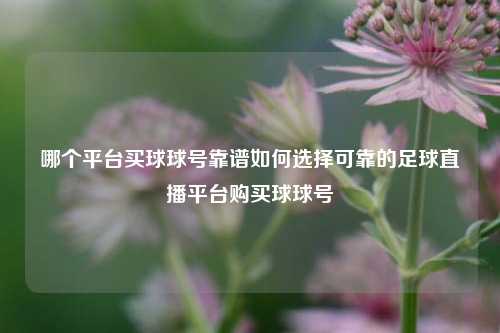 哪个平台买球球号靠谱如何选择可靠的足球直播平台购买球球号