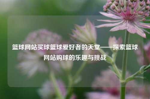 篮球网站买球篮球爱好者的天堂——探索篮球网站购球的乐趣与挑战
