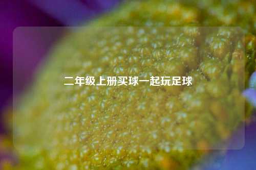二年级上册买球一起玩足球