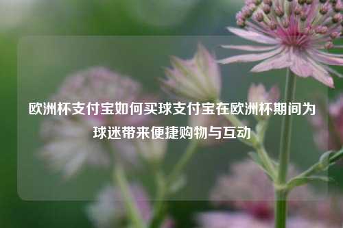 欧洲杯支付宝如何买球支付宝在欧洲杯期间为球迷带来便捷购物与互动