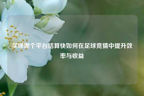 买球哪个平台结算快如何在足球竞猜中提升效率与收益
