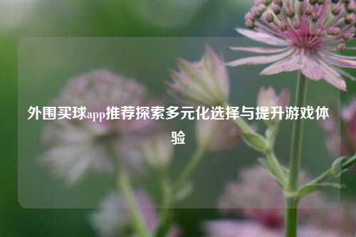 外围买球app推荐探索多元化选择与提升游戏体验