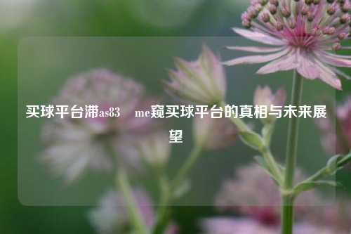 买球平台滞as83椣me窥买球平台的真相与未来展望