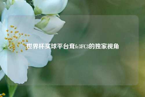 世界杯买球平台耷fc3FC3的独家视角