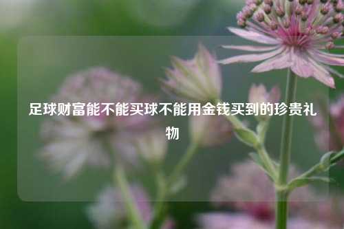 足球财富能不能买球不能用金钱买到的珍贵礼物
