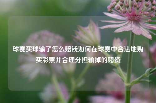 球赛买球输了怎么赔钱如何在球赛中合法地购买彩票并合理分担输掉的赌资