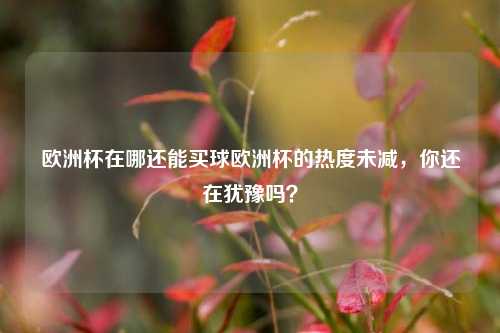 欧洲杯在哪还能买球欧洲杯的热度未减，你还在犹豫吗？