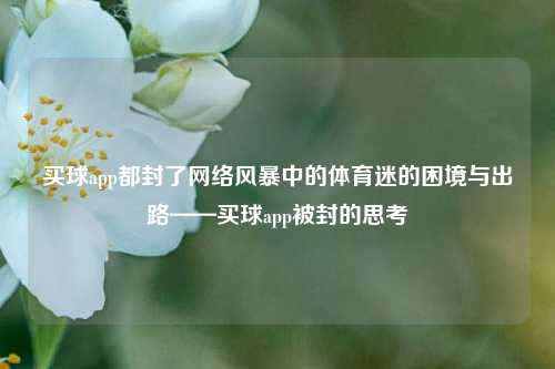 买球app都封了网络风暴中的体育迷的困境与出路——买球app被封的思考