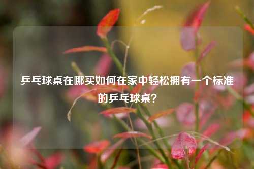 乒乓球桌在哪买如何在家中轻松拥有一个标准的乒乓球桌？