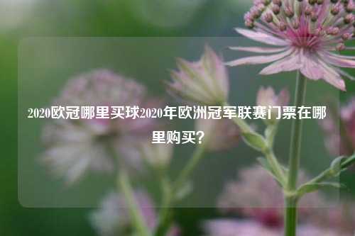 2020欧冠哪里买球2020年欧洲冠军联赛门票在哪里购买？