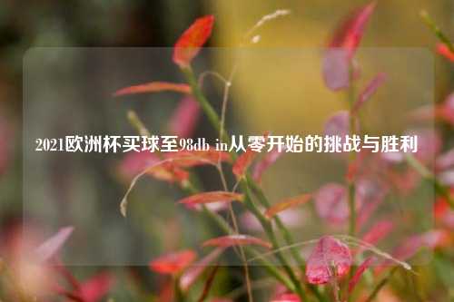 2021欧洲杯买球至98db in从零开始的挑战与胜利