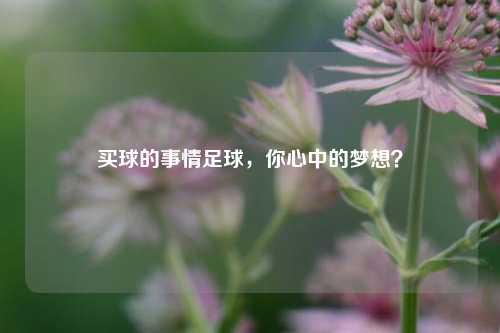 买球的事情足球，你心中的梦想？