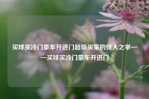 买球买冷门豪车开进门超级买家的惊人之举——买球买冷门豪车开进门