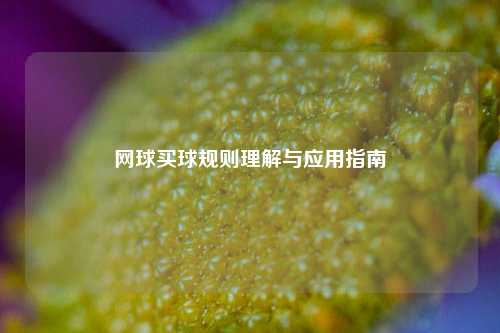 网球买球规则理解与应用指南