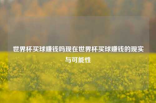 世界杯买球赚钱吗现在世界杯买球赚钱的现实与可能性