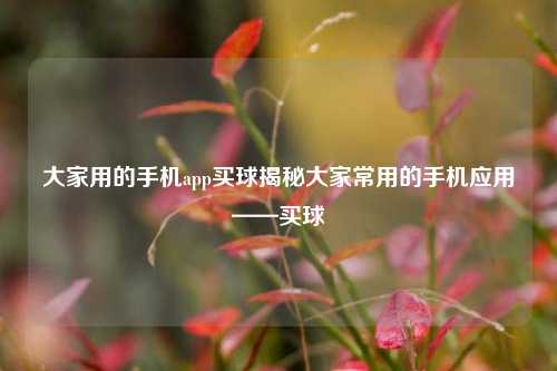 大家用的手机app买球揭秘大家常用的手机应用——买球