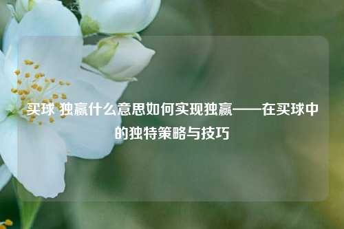 买球 独赢什么意思如何实现独赢——在买球中的独特策略与技巧