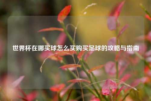 世界杯在哪买球怎么买购买足球的攻略与指南