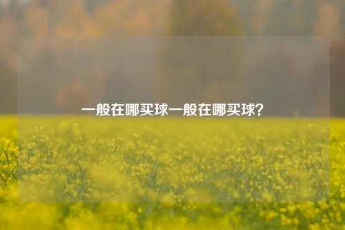 一般在哪买球一般在哪买球？
