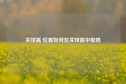 买球赢/位置如何在买球赢中取胜
