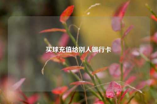 买球充值给别人银行卡