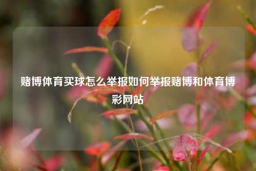 赌博体育买球怎么举报如何举报赌博和体育博彩网站