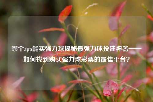 哪个app能买强力球揭秘最强力球投注神器——如何找到购买强力球彩票的最佳平台？