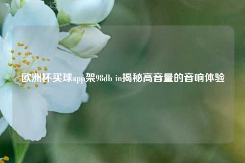 欧洲杯买球app架98db in揭秘高音量的音响体验