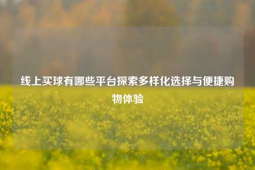 线上买球有哪些平台探索多样化选择与便捷购物体验