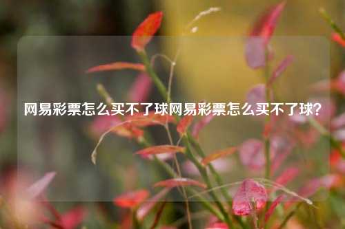 网易彩票怎么买不了球网易彩票怎么买不了球？
