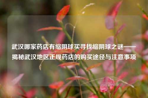 武汉哪家药店有缩阴球买寻找缩阴球之谜——揭秘武汉地区正规药店的购买途径与注意事项