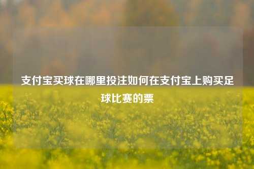 支付宝买球在哪里投注如何在支付宝上购买足球比赛的票