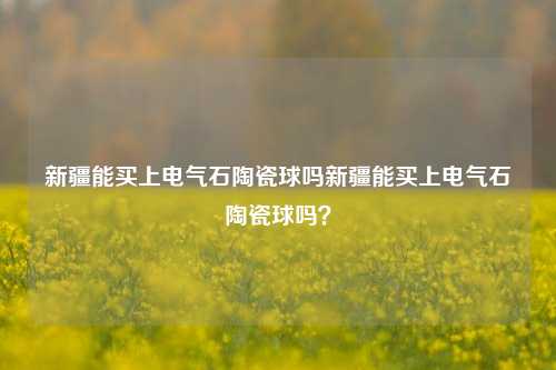 新疆能买上电气石陶瓷球吗新疆能买上电气石陶瓷球吗？