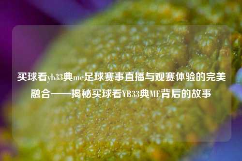 买球看yb33典me足球赛事直播与观赛体验的完美融合——揭秘买球看YB33典ME背后的故事