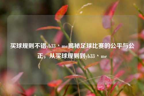 买球规则不错yb33丶me揭秘足球比赛的公平与公正，从买球规则到yb33丶me