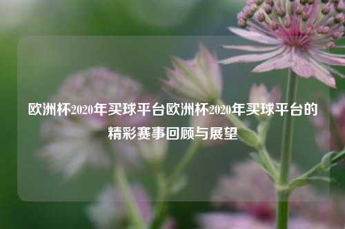 欧洲杯2020年买球平台欧洲杯2020年买球平台的精彩赛事回顾与展望